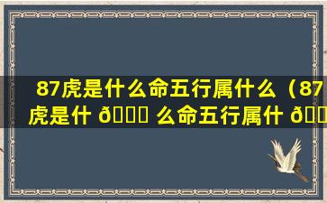 87虎是什么命五行属什么（87虎是什 🕊 么命五行属什 🌾 么属性）